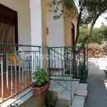 Rent 3 bedroom apartment of 100 m² in Teglio