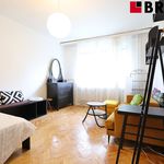 Rent 2 bedroom apartment of 35 m² in Brno