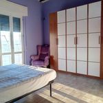 Rent 2 bedroom apartment of 85 m² in Montopoli in Val d'Arno