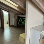 Rent 1 bedroom apartment of 38 m² in Cremona