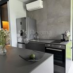Rent 1 bedroom apartment of 38 m² in Matulji