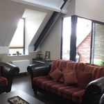 Rent 3 bedroom apartment of 70 m² in Eindhoven