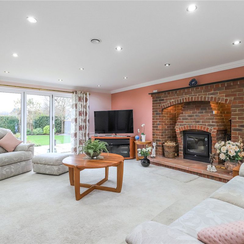 house for rent at Partridge Hill, Landford, Salisbury, Wiltshire, SP5, England Plaitford