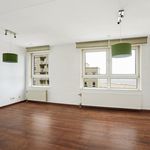 Rent 3 bedroom apartment of 75 m² in 's-Gravenhage