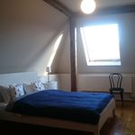 Rent 1 bedroom apartment of 117 m² in Kraków