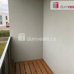 Rent 2 bedroom apartment of 45 m² in Zbuch