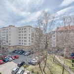 Rent 1 bedroom apartment of 25 m² in Havířov