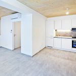 Rent 1 bedroom house of 34 m² in Wien