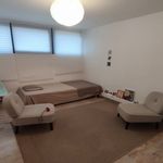 Rent 1 bedroom apartment in Sète