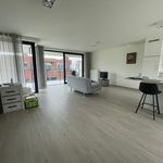 Rent 1 bedroom apartment in Tielt
