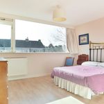 Rent 6 bedroom house of 150 m² in Wassenaar