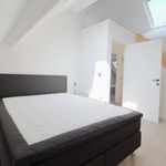 Rent 2 bedroom apartment of 80 m² in Vorst