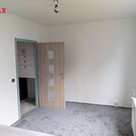 Rent 4 bedroom apartment of 81 m² in Ústí nad Labem