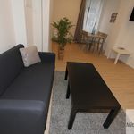 Rent 1 bedroom apartment of 46 m² in Nuremberg