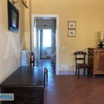 Rent 4 bedroom apartment of 105 m² in Firenze