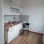Rent 1 bedroom apartment of 40 m² in Bílina