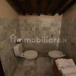 Rent 3 bedroom apartment of 52 m² in Lucca