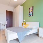 Rent a room of 147 m² in Padova