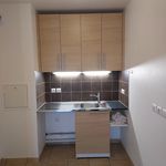 Rent 2 bedroom apartment of 46 m² in Le Perreux-sur-Marne