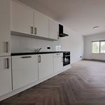 Rent 3 bedroom apartment of 100 m² in Ooltgensplaat