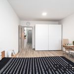 Rent 1 bedroom apartment of 28 m² in Uherské Hradiště