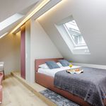 Rent 1 bedroom apartment of 24 m² in Zürich