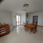 Rent 4 bedroom apartment of 150 m² in Budrio