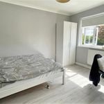 Rent 6 bedroom flat in Colchester