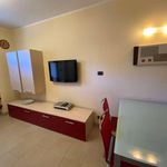 Rent 1 bedroom apartment of 36 m² in Torino