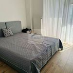 Rent 2 bedroom apartment of 47 m² in Pardubice