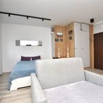 Rent 1 bedroom apartment of 30 m² in Toruń