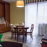 Affitto 1 camera appartamento di 48 m² in Pieve Emanuele