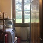 Rent a room of 120 m² in Firenze