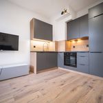 Rent 1 bedroom apartment of 30 m² in Łódź