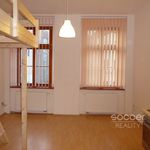 Rent 1 bedroom apartment of 26 m² in Trubín