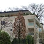 Rent 1 bedroom apartment in ANNECY