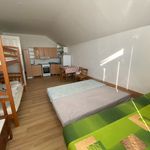 Rent 1 bedroom house of 1059 m² in Číhošť