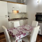 Rent 1 bedroom apartment of 40 m² in Padova