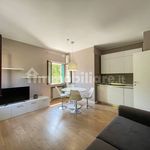 Rent 2 bedroom apartment of 49 m² in Padova