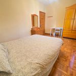 Rent 4 bedroom apartment in Pamplona