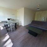 Rent 1 bedroom apartment of 32 m² in Vienne