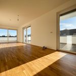 Rent 4 bedroom apartment of 87 m² in Traun