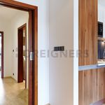 Rent 1 bedroom apartment of 71 m² in Brno