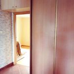 Rent 2 bedroom apartment of 50 m² in Elbląg