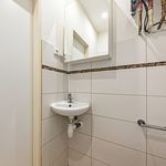 Rent 2 bedroom apartment of 40 m² in Prague