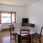 Rent 3 bedroom apartment of 70 m² in Anzio