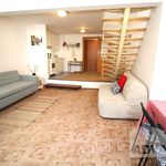 Rent 1 bedroom house of 57 m² in Praha