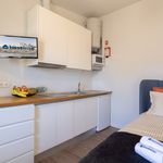 Rent 1 bedroom house of 33 m² in Porto
