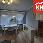 Rent 2 bedroom apartment of 37 m² in Bełchatów