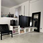 Affitto 3 camera appartamento di 180 m² in Cologno Monzese
